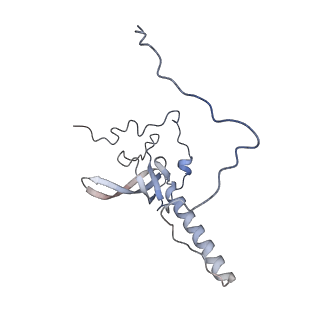 23500_7ls1_N2_v1-1
80S ribosome from mouse bound to eEF2 (Class II)