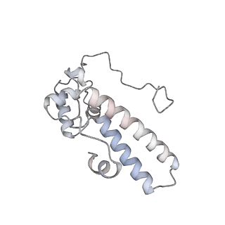 23500_7ls1_N3_v1-1
80S ribosome from mouse bound to eEF2 (Class II)
