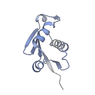 23500_7ls1_O2_v1-1
80S ribosome from mouse bound to eEF2 (Class II)