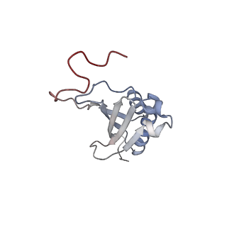 23500_7ls1_O3_v1-1
80S ribosome from mouse bound to eEF2 (Class II)