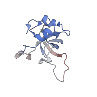 23500_7ls1_P2_v1-1
80S ribosome from mouse bound to eEF2 (Class II)