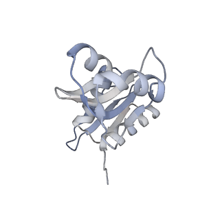 23500_7ls1_P3_v1-1
80S ribosome from mouse bound to eEF2 (Class II)
