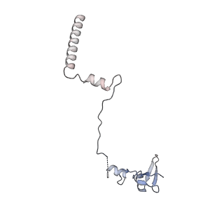 23500_7ls1_Q2_v1-1
80S ribosome from mouse bound to eEF2 (Class II)