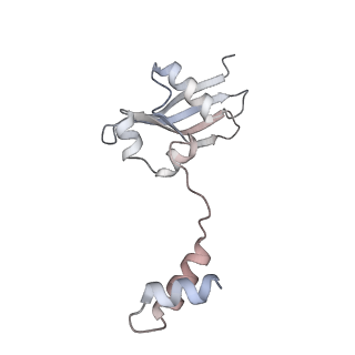 23500_7ls1_Q3_v1-1
80S ribosome from mouse bound to eEF2 (Class II)
