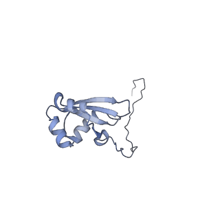 23500_7ls1_R2_v1-1
80S ribosome from mouse bound to eEF2 (Class II)