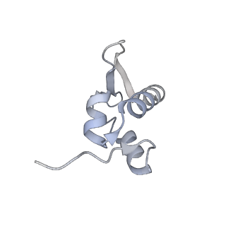 23500_7ls1_R3_v1-1
80S ribosome from mouse bound to eEF2 (Class II)