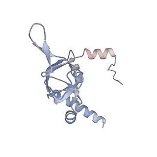 23500_7ls1_S2_v1-1
80S ribosome from mouse bound to eEF2 (Class II)