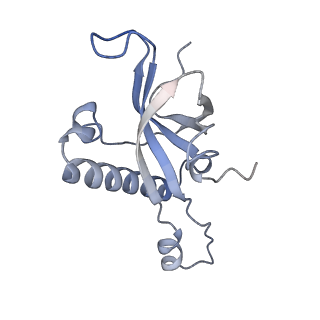 23500_7ls1_T2_v1-1
80S ribosome from mouse bound to eEF2 (Class II)