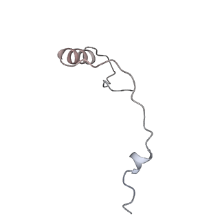 23500_7ls1_T3_v1-1
80S ribosome from mouse bound to eEF2 (Class II)