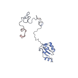 23500_7ls1_U2_v1-1
80S ribosome from mouse bound to eEF2 (Class II)