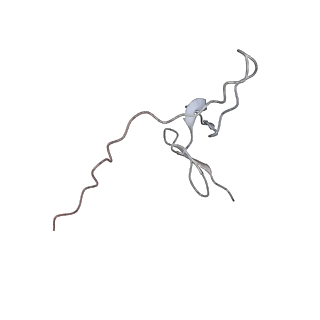 23500_7ls1_U3_v1-1
80S ribosome from mouse bound to eEF2 (Class II)