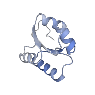 23500_7ls1_W2_v1-1
80S ribosome from mouse bound to eEF2 (Class II)