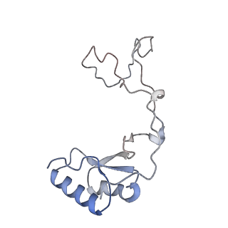 23500_7ls1_Y2_v1-1
80S ribosome from mouse bound to eEF2 (Class II)