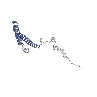 23500_7ls1_b2_v1-1
80S ribosome from mouse bound to eEF2 (Class II)