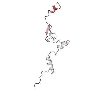 23500_7ls1_d2_v1-1
80S ribosome from mouse bound to eEF2 (Class II)