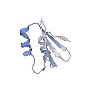 23500_7ls1_e2_v1-1
80S ribosome from mouse bound to eEF2 (Class II)