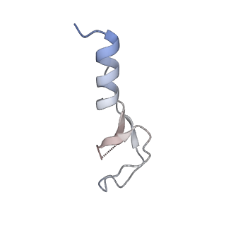 23500_7ls1_g2_v1-1
80S ribosome from mouse bound to eEF2 (Class II)
