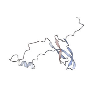 23500_7ls1_i2_v1-1
80S ribosome from mouse bound to eEF2 (Class II)