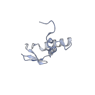 23500_7ls1_j2_v1-1
80S ribosome from mouse bound to eEF2 (Class II)