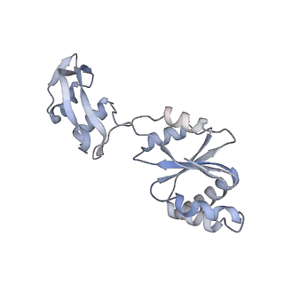 23500_7ls1_j_v1-1
80S ribosome from mouse bound to eEF2 (Class II)