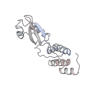 23500_7ls1_k_v1-1
80S ribosome from mouse bound to eEF2 (Class II)
