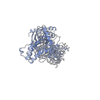 23500_7ls1_m_v1-1
80S ribosome from mouse bound to eEF2 (Class II)
