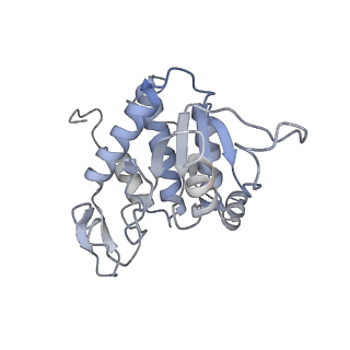 23500_7ls1_o2_v1-1
80S ribosome from mouse bound to eEF2 (Class II)