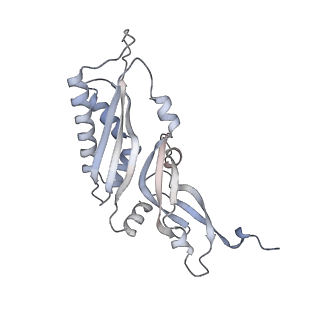 23500_7ls1_p2_v1-1
80S ribosome from mouse bound to eEF2 (Class II)