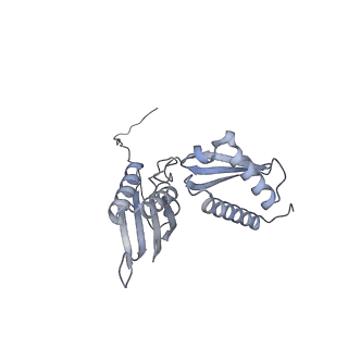 23500_7ls1_q2_v1-1
80S ribosome from mouse bound to eEF2 (Class II)