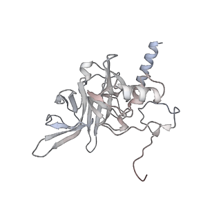 23500_7ls1_r2_v1-1
80S ribosome from mouse bound to eEF2 (Class II)