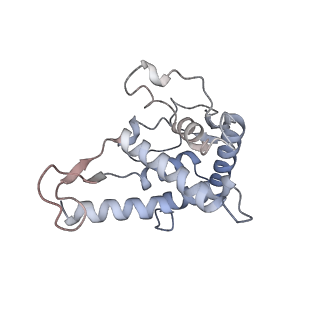 23500_7ls1_s2_v1-1
80S ribosome from mouse bound to eEF2 (Class II)