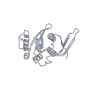 23500_7ls1_t_v1-1
80S ribosome from mouse bound to eEF2 (Class II)