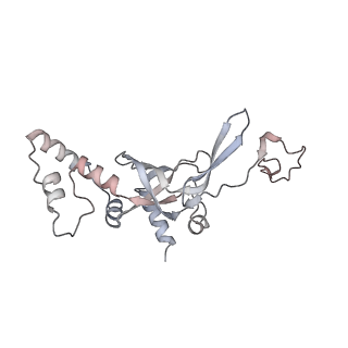 23500_7ls1_u_v1-1
80S ribosome from mouse bound to eEF2 (Class II)