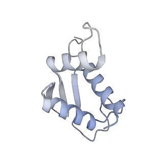 23500_7ls1_v2_v1-1
80S ribosome from mouse bound to eEF2 (Class II)