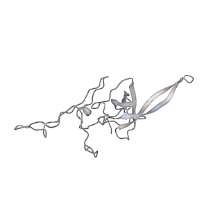 23500_7ls1_w2_v1-1
80S ribosome from mouse bound to eEF2 (Class II)