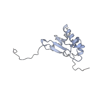 23500_7ls1_x2_v1-1
80S ribosome from mouse bound to eEF2 (Class II)