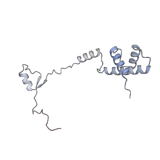 23500_7ls1_z2_v1-1
80S ribosome from mouse bound to eEF2 (Class II)