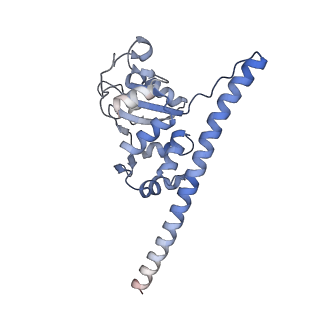23501_7ls2_A1_v1-1
80S ribosome from mouse bound to eEF2 (Class I)