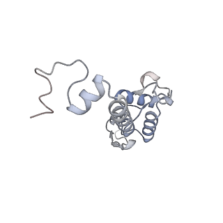 23501_7ls2_A3_v1-1
80S ribosome from mouse bound to eEF2 (Class I)