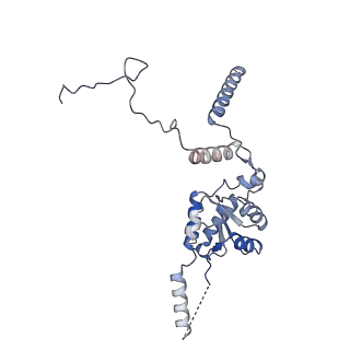 23501_7ls2_B1_v1-1
80S ribosome from mouse bound to eEF2 (Class I)