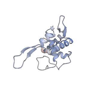 23501_7ls2_B3_v1-1
80S ribosome from mouse bound to eEF2 (Class I)