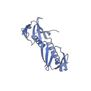 23501_7ls2_C1_v1-1
80S ribosome from mouse bound to eEF2 (Class I)