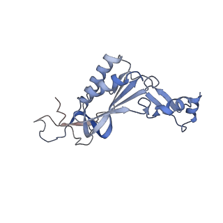 23501_7ls2_D1_v1-1
80S ribosome from mouse bound to eEF2 (Class I)