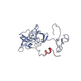 23501_7ls2_D2_v1-1
80S ribosome from mouse bound to eEF2 (Class I)