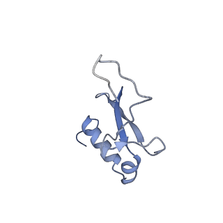 23501_7ls2_D3_v1-1
80S ribosome from mouse bound to eEF2 (Class I)