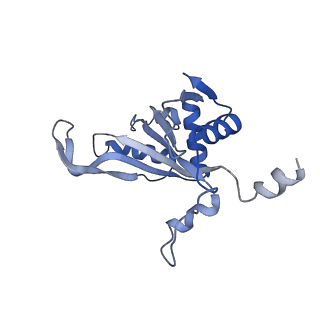23501_7ls2_E1_v1-1
80S ribosome from mouse bound to eEF2 (Class I)