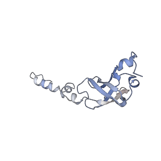 23501_7ls2_E3_v1-1
80S ribosome from mouse bound to eEF2 (Class I)