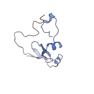 23501_7ls2_F3_v1-1
80S ribosome from mouse bound to eEF2 (Class I)