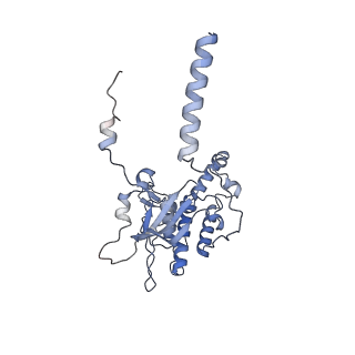 23501_7ls2_G2_v1-1
80S ribosome from mouse bound to eEF2 (Class I)