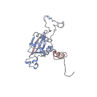 23501_7ls2_H1_v1-1
80S ribosome from mouse bound to eEF2 (Class I)